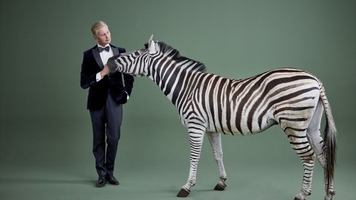 on a green background, an elegant white man in black tie leans slightly away from a zebra that is nuzzling him.